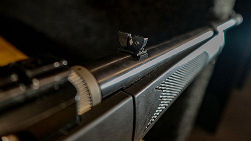 Карабін Ruger 10/22 Take Down 22lr